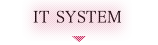 IT System