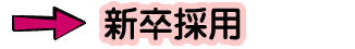 新卒採用